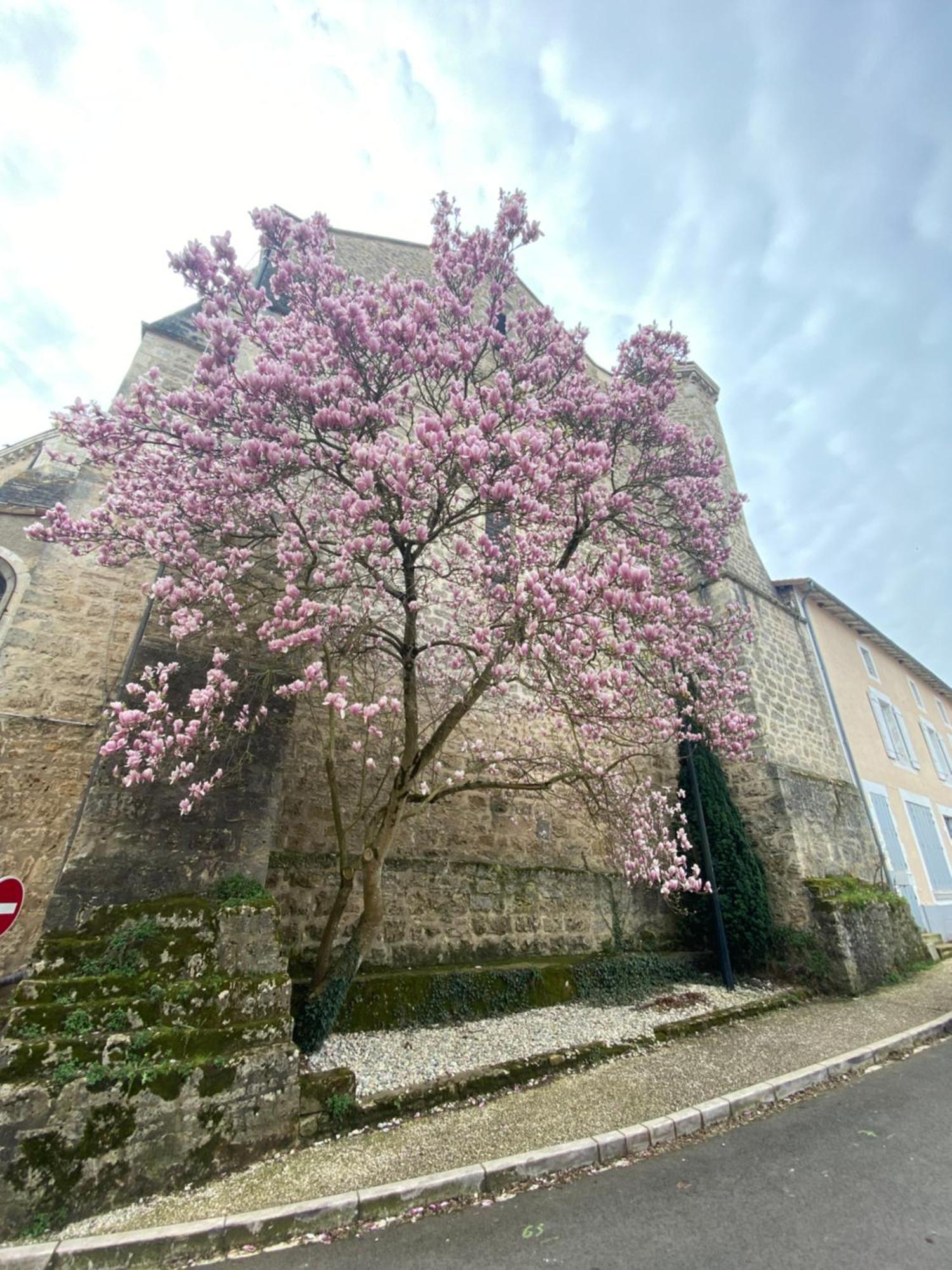 Logis Hotel Le Saint Georges Vivonne Екстериор снимка